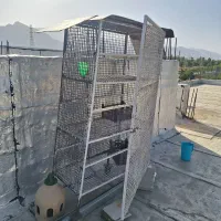 قفس بزرگ پرنده