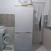 یخچال و فریزر ارج