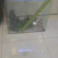 آکواریوم بدون استفاده