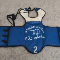 هوگو تکواندو