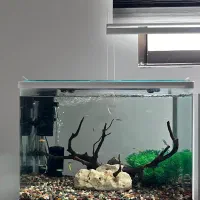 اکواریوم ۶۰لیتری