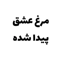 یدونه مرغ عشق پیدا شده