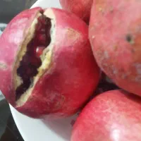 فروش انار رباب|عمدهفروشی|داراب, |دیوار