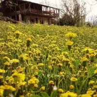 اسکان موقت رایگان