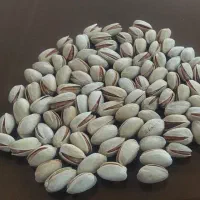فروش پسته رفسنجان عمده و جزئی با کیفیت صادراتی
