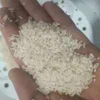 نیم دانه ۲۰۰تومان  سرلاشه فجر موجود است ۲۱۵