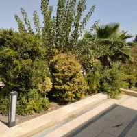باغ-عالی