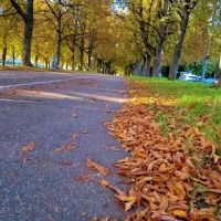 کارت ملی و بانکی گم کردم