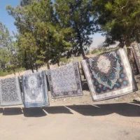 فروش قالیچه پشت نمدی|فرش|زرند, |دیوار