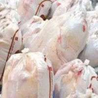 مرغ گرم بسته بندی روز کیلو ۲۴۰ تومن