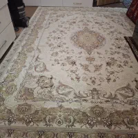 فرش 9متری|فرش|سبزوار, باهنر|دیوار