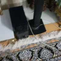 تلویزیون|تلویزیون و پروژکتور|شیراز, دروازه قران|دیوار