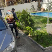 باغبانی سمپاشی هرس کردن درختان کاشت گیاهان زینتی