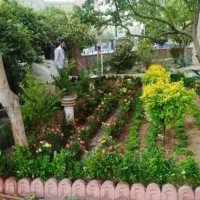 خدمات کلیه باغبانی باغچه کاری گلکاری کاشت گل وگیا