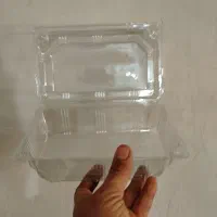 ظرف پک یکبار مصرف|ظروف نگهدارنده، پلاستیکی، یک‌بارمصرف|برازجان, |دیوار