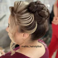 شنیونکار حرفه ای