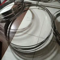 تیغه اره استخوان بر قصابی|کافیشاپ و رستوران|رشت, بوسار|دیوار