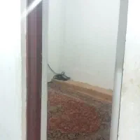 اجاره و رهن