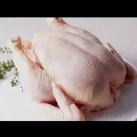 فروش ویژه مرغ و ران مرغ