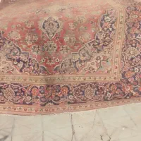 فرش قدیمی|فرش|یزد, |دیوار