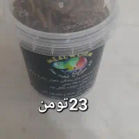 میلورم در بیرجند با قیمت مناسب|خزنده|تهران, خلیج فارس|دیوار
