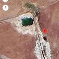 زمین کشاورزی|فروش زمین و ملک کلنگی|زیویه, |دیوار