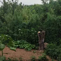 راهنمایی.خرید وسایل منزل