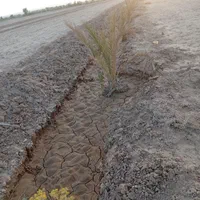 یک هکتار زمین کشاورزی خوش قیمت عنبرآباد|فروش دفتر صنعتی، کشاورزی، تجاری|عنبرآباد, |دیوار