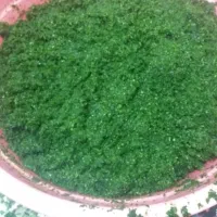 سبزی خورشتی