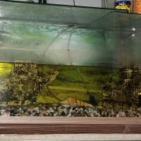 فروش فوری آکواریوم