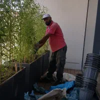 خدمات باغبانی وتعویض خاک گلدون درمنزل وشرکت|خدمات باغبانی و درختکاری|تهران, سید خندان (جلفا)|دیوار
