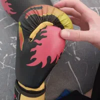 دستکش بوکس|تجهیزات ورزشی|پرند, فاز ۴|دیوار