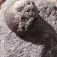 سنگ پریسماتین