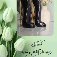 عطر و ادکلن (انواع ادکلن های زنانه و مردانه)|آرایشی، بهداشتی، درمانی|رشت, کوی مهر|دیوار