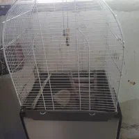 تلویزیون ۲۹ اینچ  قدیمی|تلویزیون و پروژکتور|لشت نشا, |دیوار