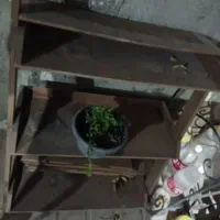 شلف جا گلدانی|کتابخانه، شلف، قفسههای دیواری|بومهن, |دیوار