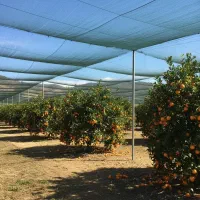 تولید و پخش انواع سایبان گلخانه (شید)و توری سایبان|عمده‌فروشی|هشتگرد, شهرک بعثت|دیوار