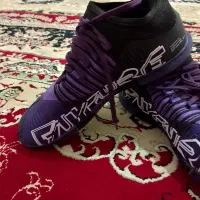 کفش سالنی