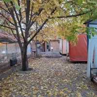 قلیان زنی کار در کافه باغ آبشار