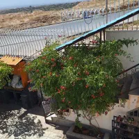 واحد مستقل /دو خوابه/ نورگیر شمالی و جنوبی