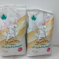 پخش خمیر مایه رضوی و فریمان|خوردنی و آشامیدنی|مشهد, زمانه|دیوار