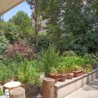 570متر کلنگی دزاشیب
