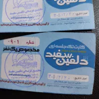 استخردلفین سفید