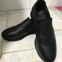 کفش|کیف، کفش، کمربند|ری, دولت‌آباد|دیوار