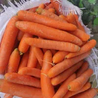 سوپر دهکده میوه/آبلیمو و آبغوره/ ادویه جات