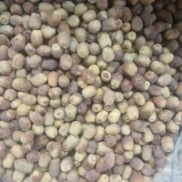 خرما|عمده‌فروشی|برازجان, |دیوار