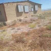 مرغداری ۱۰هزار قطعه ای گوشتی|فروش دفتر صنعتی، کشاورزی، تجاری|فسا, |دیوار