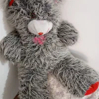 خرس بزرگ برای بازی