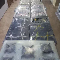 گازتوکار۵و۴و۳و۲ باچک استان تهران والبرزکد۶۶۰۰|اجاق گاز و لوازم برقی پخت‌وپز|کرج, گلشهر|دیوار