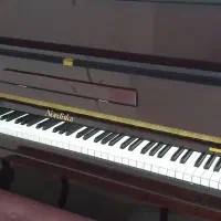 پیانو اگوستیک نوردیسکا|پیانو، کیبورد، آکاردئون|تهران, سردارجنگل|دیوار